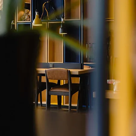 Ibis Centre Stanislas מלון נאנסי