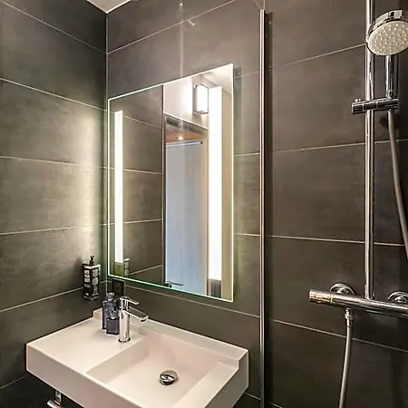 Ibis Centre Stanislas מלון 3*