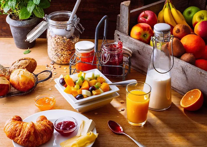 Ibis Centre Stanislas Hotell